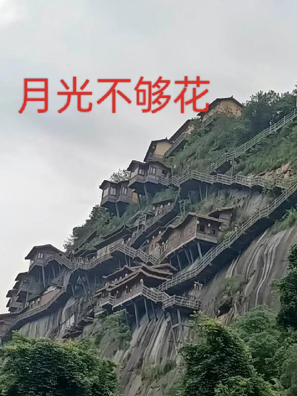 华夏星光传媒