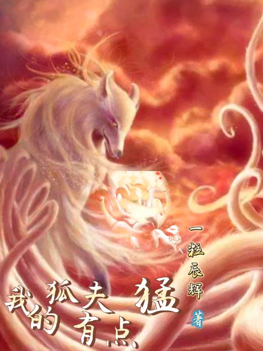 小说狐夫