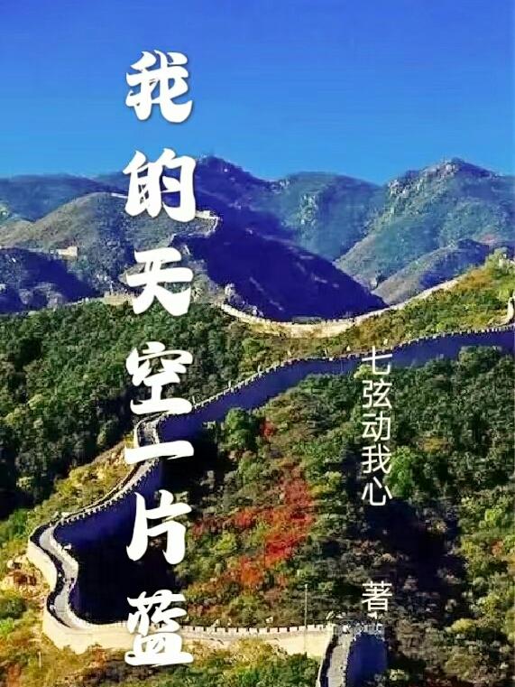 我的天空张韶涵