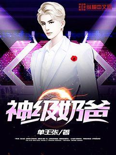 神级奶爸TXT下载奇书