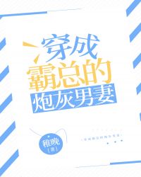 穿成霸总的炮灰男妻书评